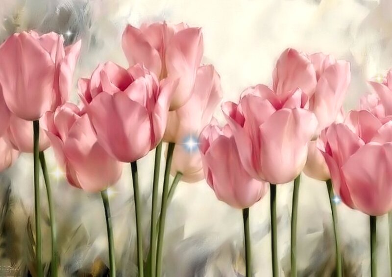 Pink Tulips in Bloom — Serene, Digital Art