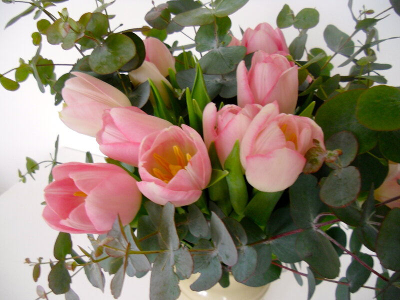 Pink Tulips in Bouquet — Calm, Spring, Photograph, Eucalyptus
