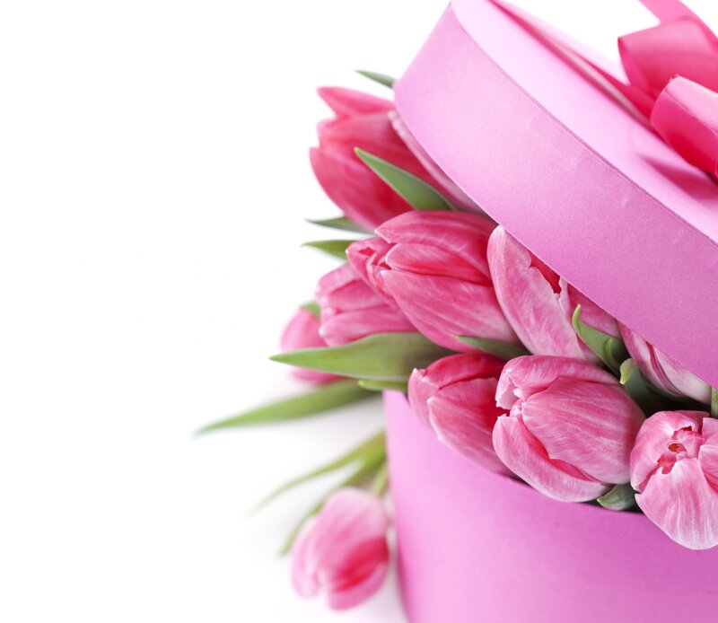 Pink Tulips in Box