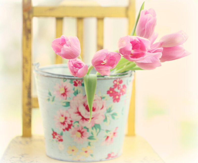 Pink Tulips in Bucket