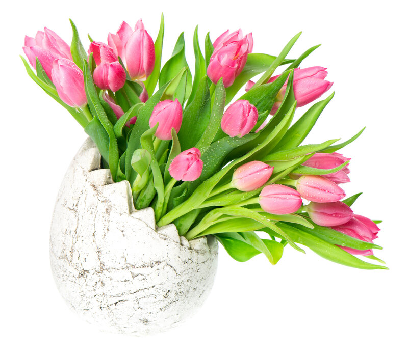 Pink Tulips in Egg Vase