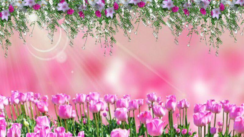 Pink Tulips in Field — Serene, Spring, Digital Art