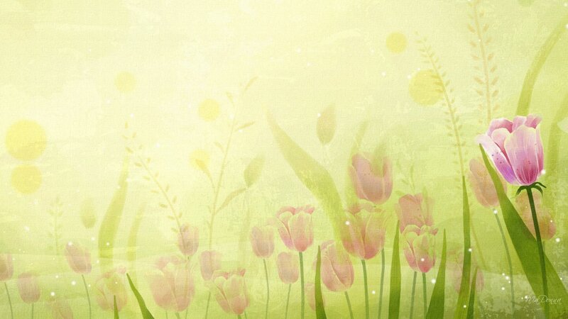 Pink Tulips in Field