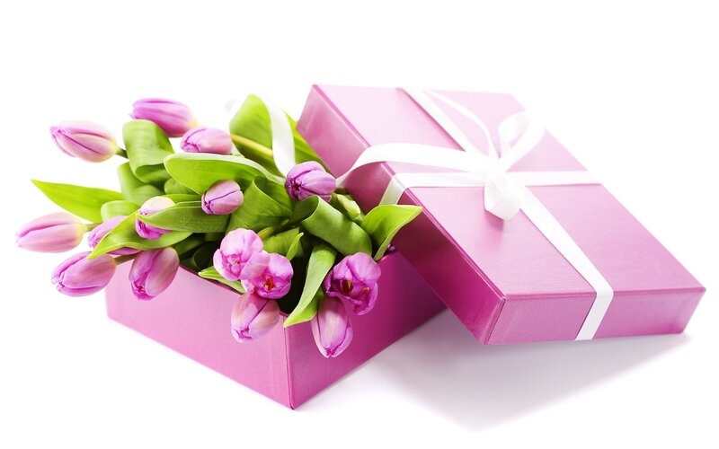 Pink Tulips in Gift Box — Festive, Photograph