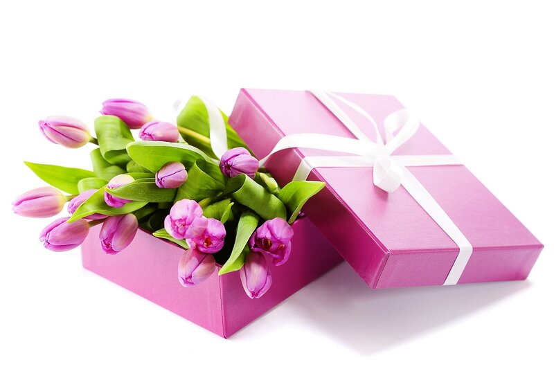 Pink Tulips in Gift Box — Festive