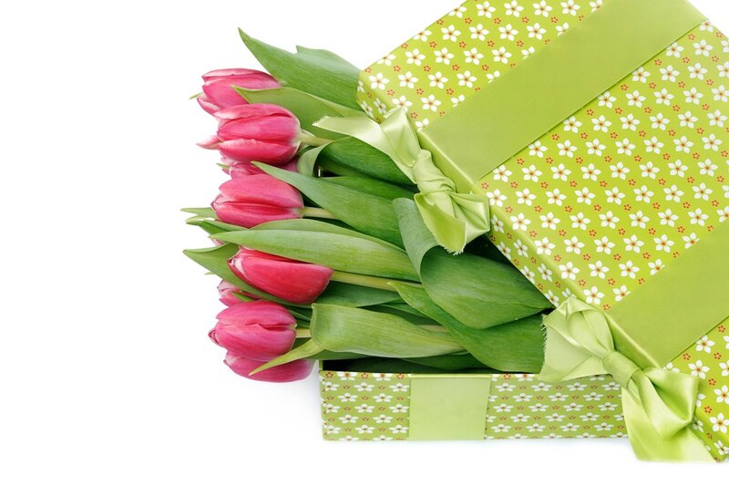 Pink Tulips in Gift Box — Green