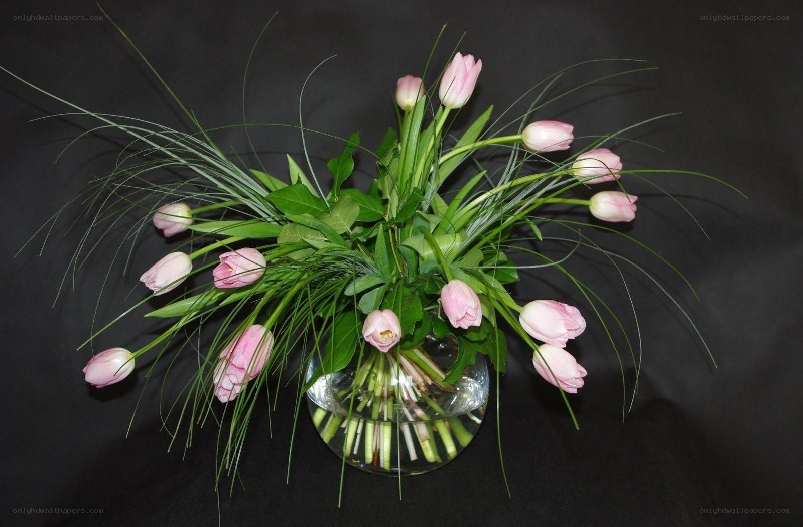 Pink tulips in glass vase