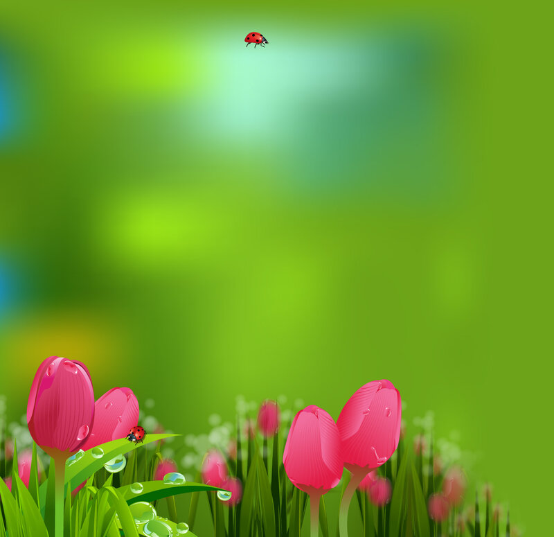 Pink Tulips in Grass — Green