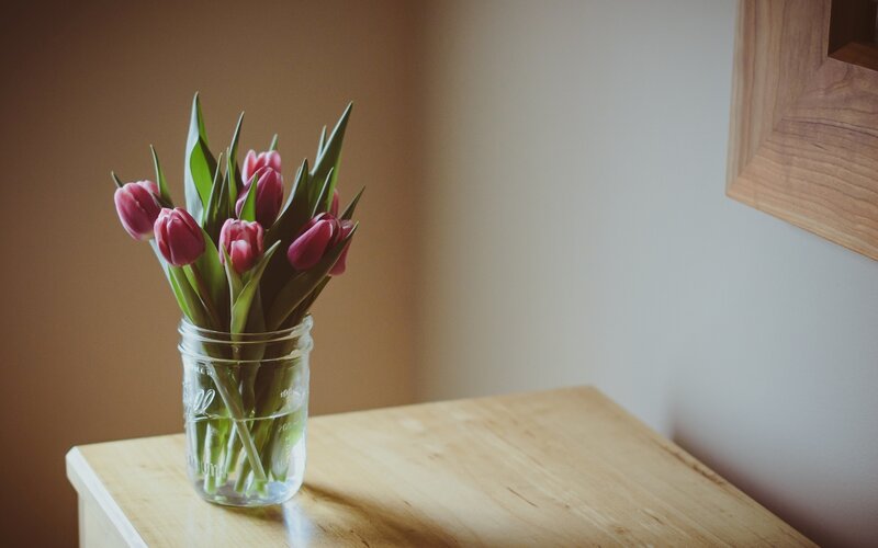 Pink Tulips in Jar — Calm