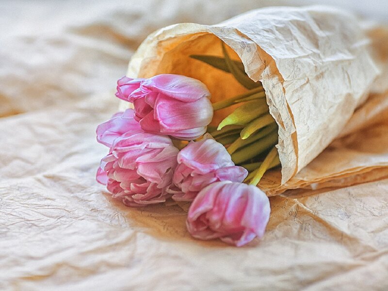 Pink Tulips in Paper