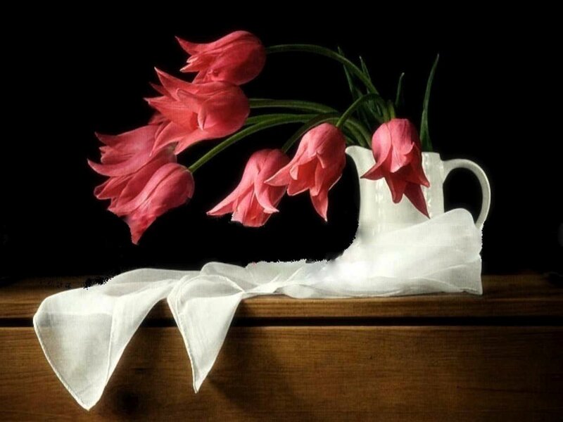 Pink Tulips in Pitcher — Black