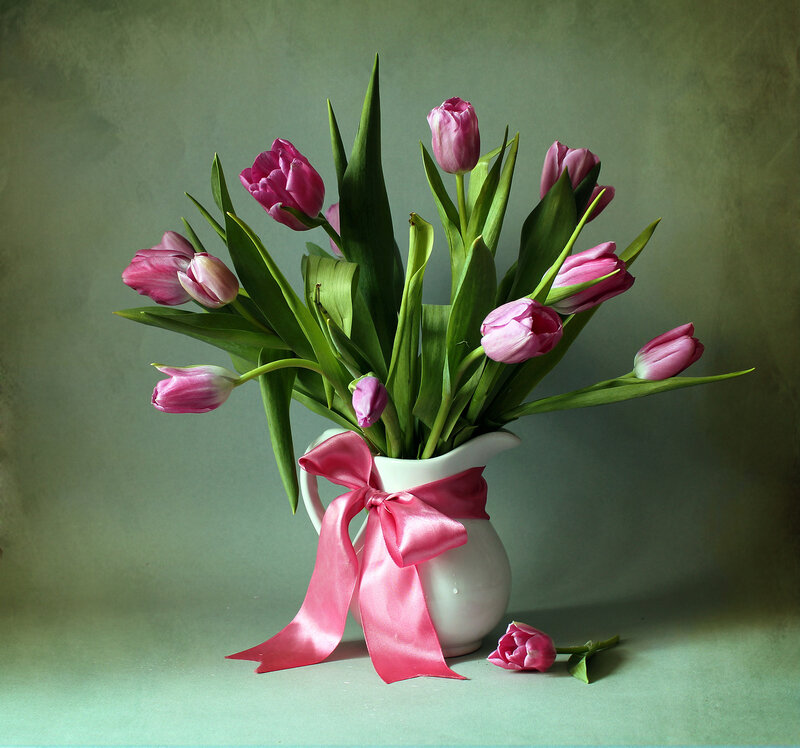 Pink Tulips in Pitcher — Calm