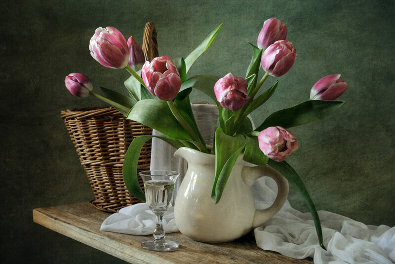 Pink Tulips in Pitcher — Green