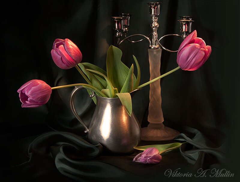 Pink Tulips in Pitcher — Purple