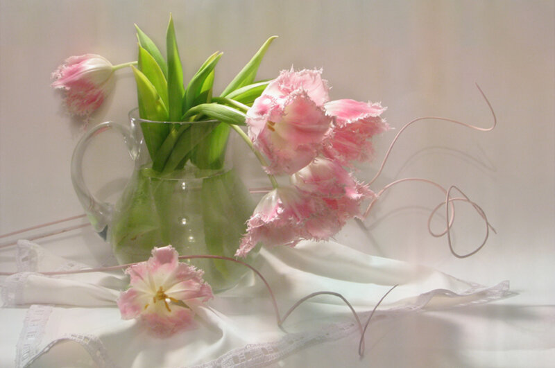 Pink Tulips in Pitcher — Serene, Photograph