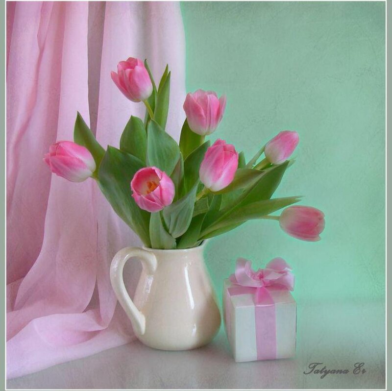 Pink Tulips in Pitcher — Serene, Spring, Photograph, Gift Box