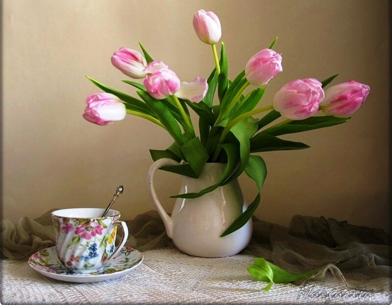 Pink Tulips in Pitcher — Serene, Spring, Photograph