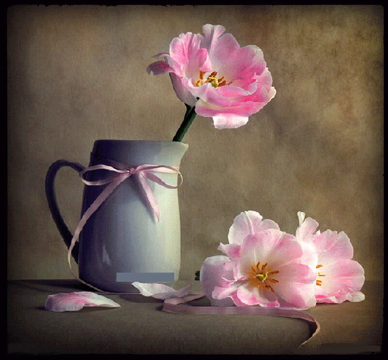 Pink Tulips in Pitcher — Serene