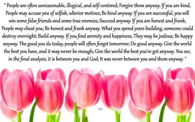 Pink Tulips in Row — Inspirational