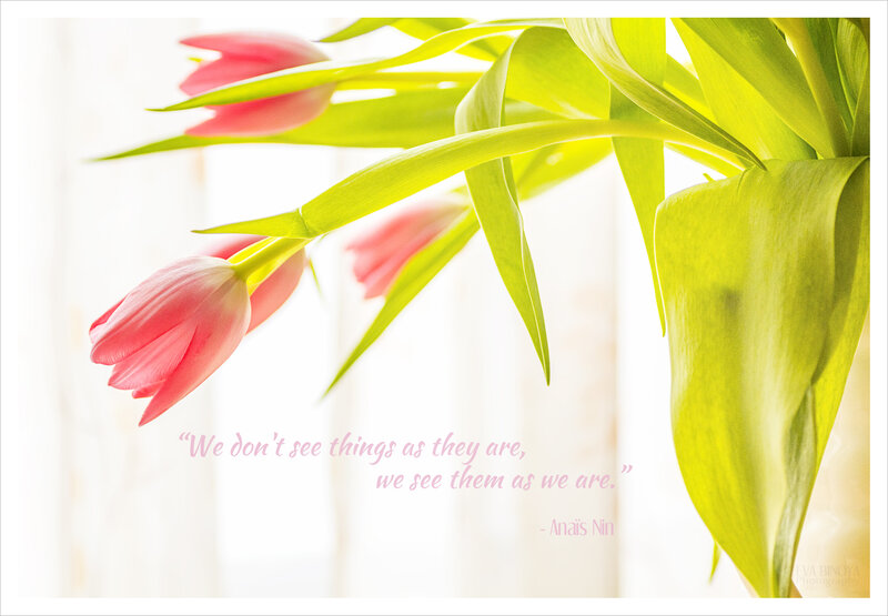 Pink Tulips in Sunlight — Green
