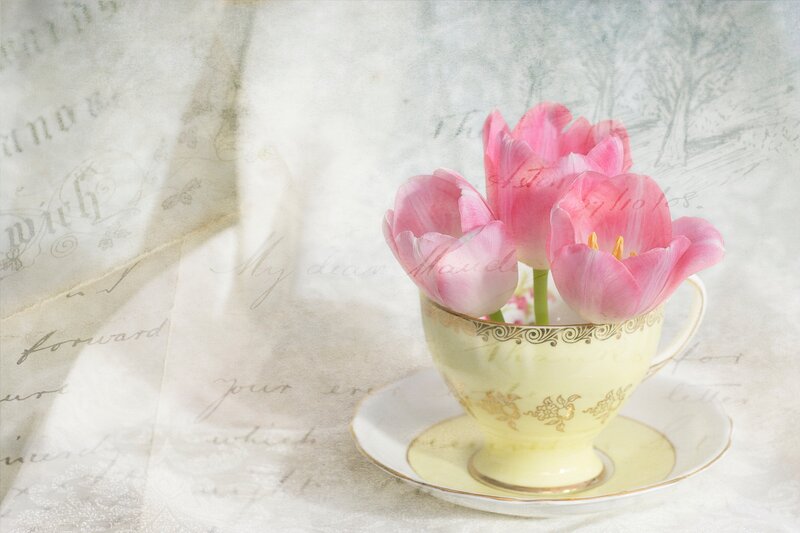 Pink Tulips in Teacup — Serene, Spring