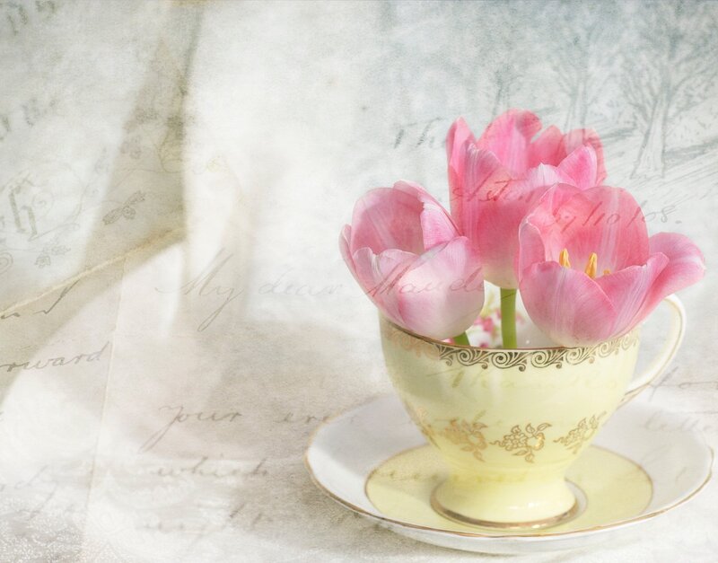 Pink Tulips in Teacup — Serene