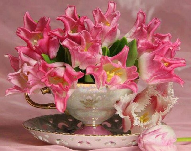 Pink Tulips in Teacup