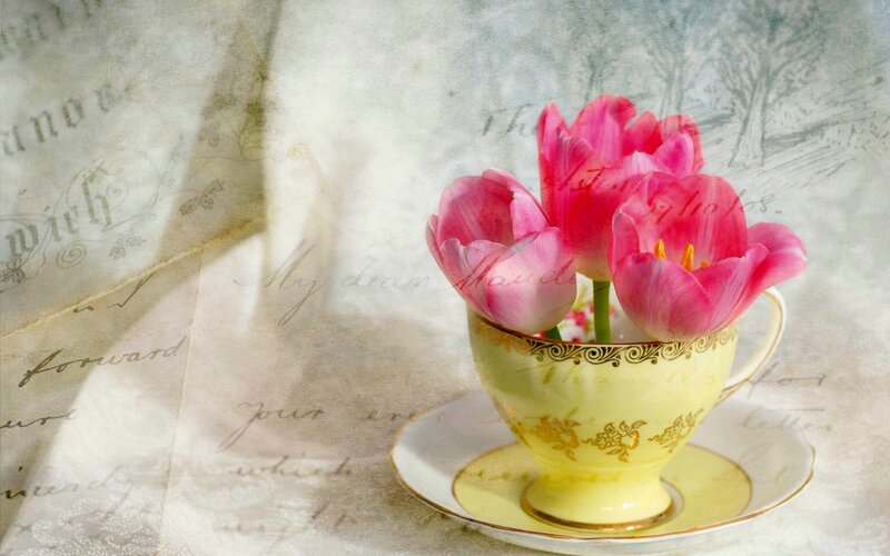 Pink Tulips in Teacup — Yellow