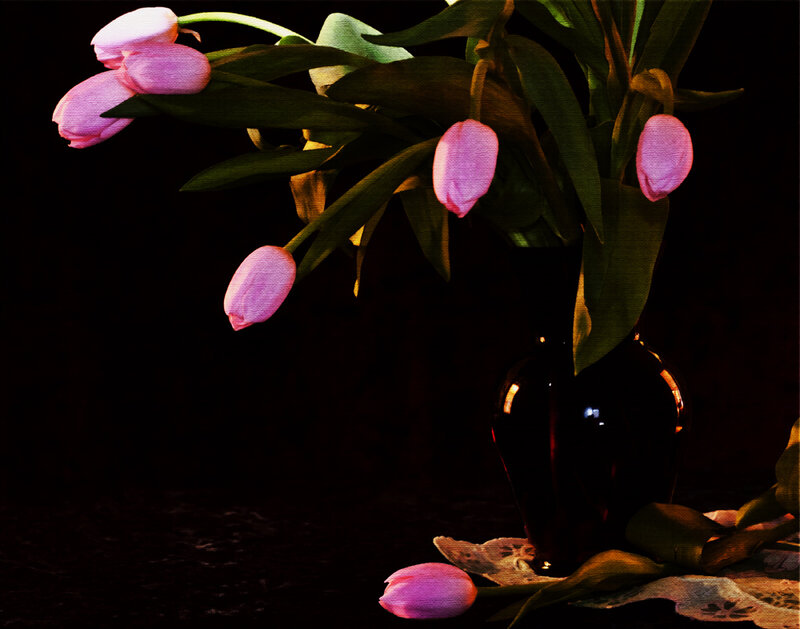 Pink Tulips in Vase — Black, Dramatic