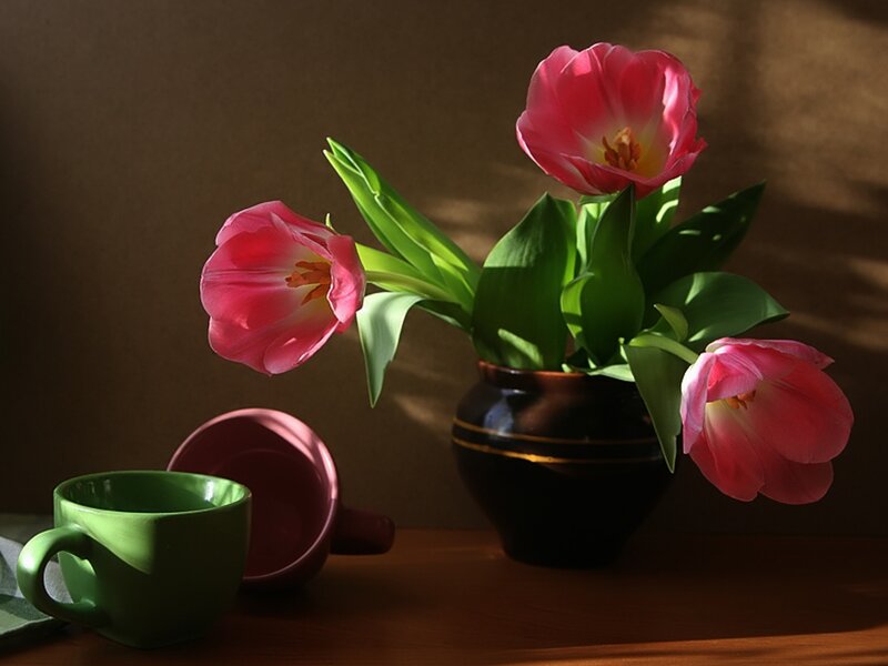 Pink Tulips in Vase — Brown