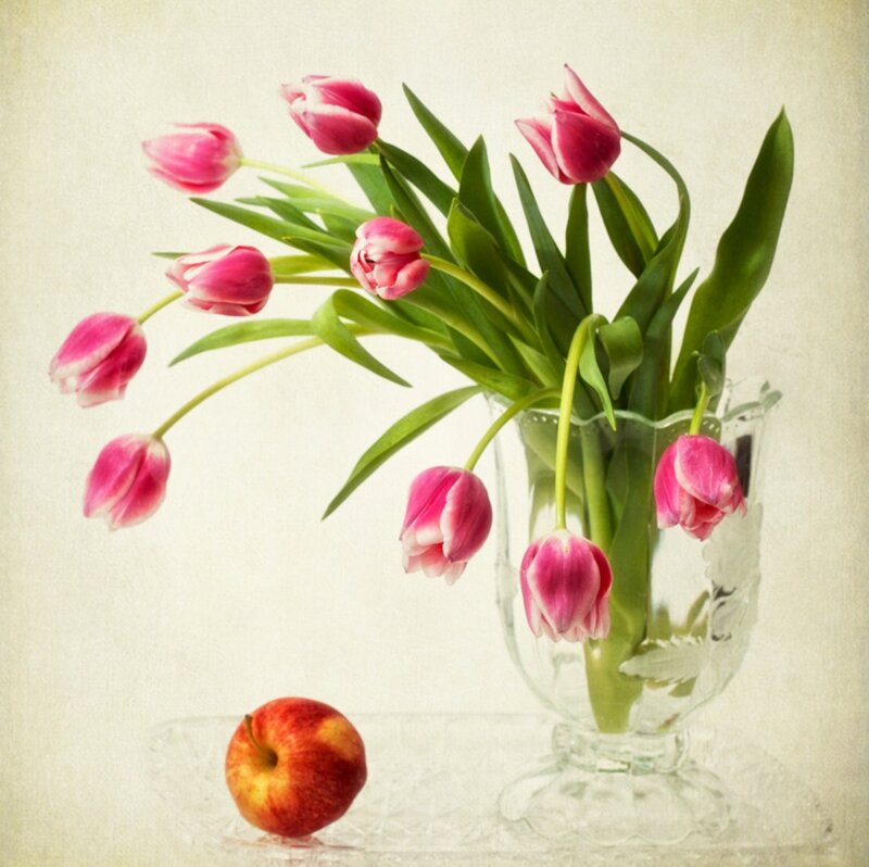 Pink Tulips in Vase — Calm, Photograph, Apple