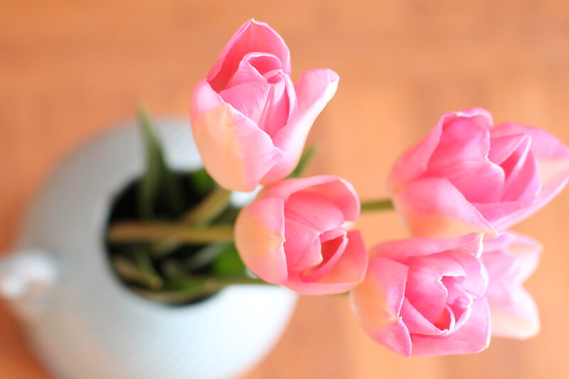 Pink Tulips in Vase — Calm, Photograph, Flowers