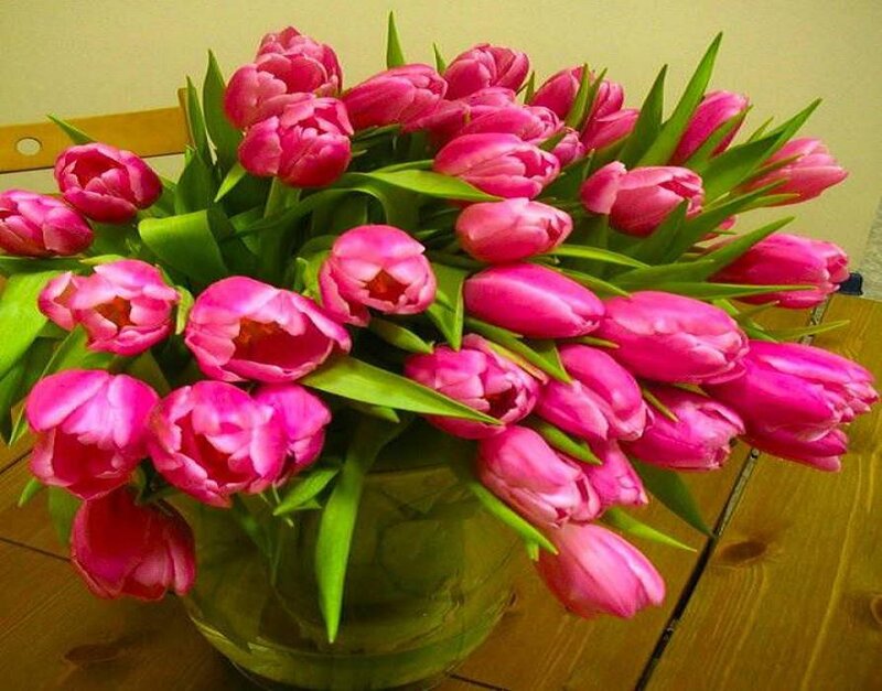 Pink Tulips in Vase — Calm, Photograph, Table, Chair