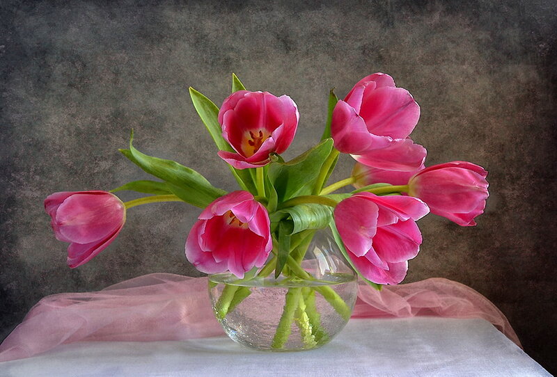 Pink Tulips in Vase — Calm, Photograph, Tissue Paper