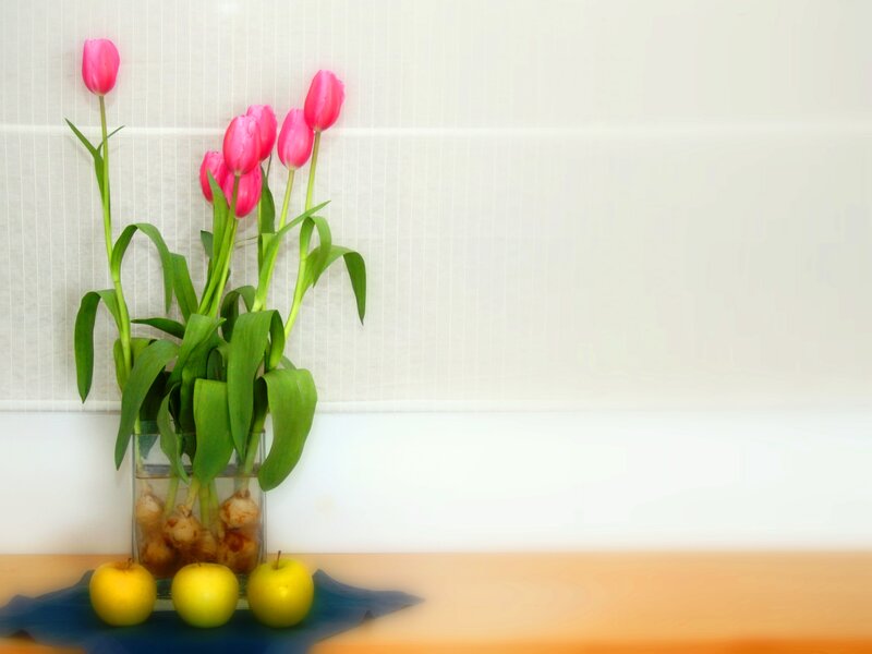Pink Tulips in Vase — Calm, Spring, Photograph, Apples