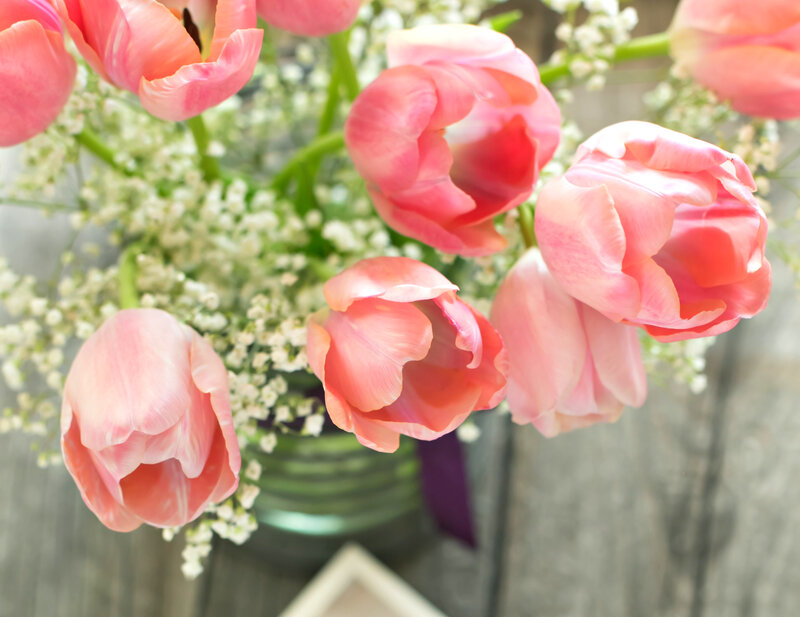 Pink Tulips in Vase — Calm, Spring, Photograph, Baby's Breath