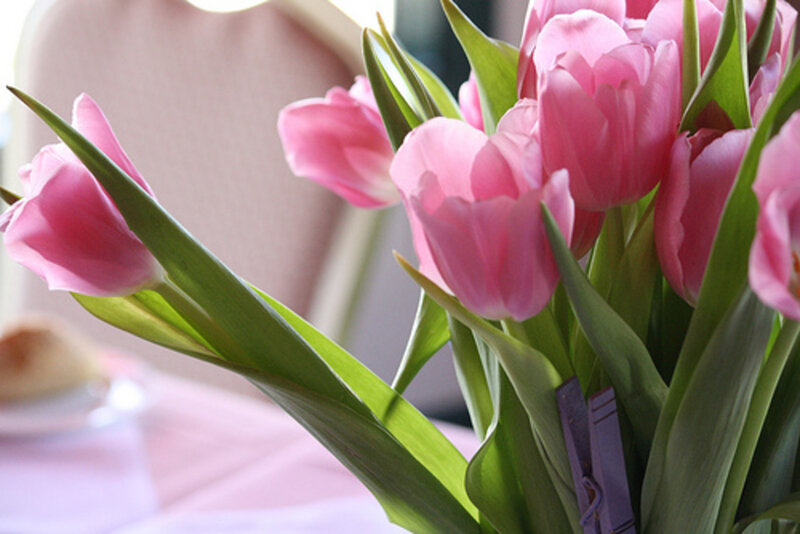 Pink Tulips in Vase — Calm, Spring, Photograph, Green Leaves, Tablecloth