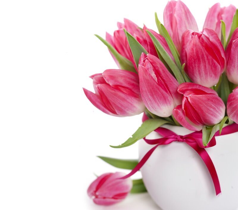 Pink Tulips in Vase — Calm, Spring, Photograph