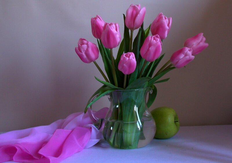 Pink Tulips in Vase — Calm
