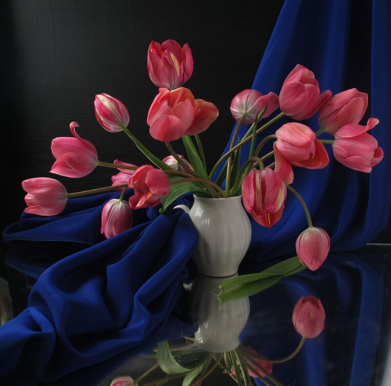 Pink Tulips in Vase — Dramatic, Photograph, Blue Cloth