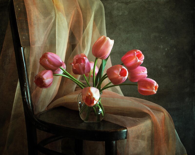 Pink Tulips in Vase — Dramatic, Photograph, Chair