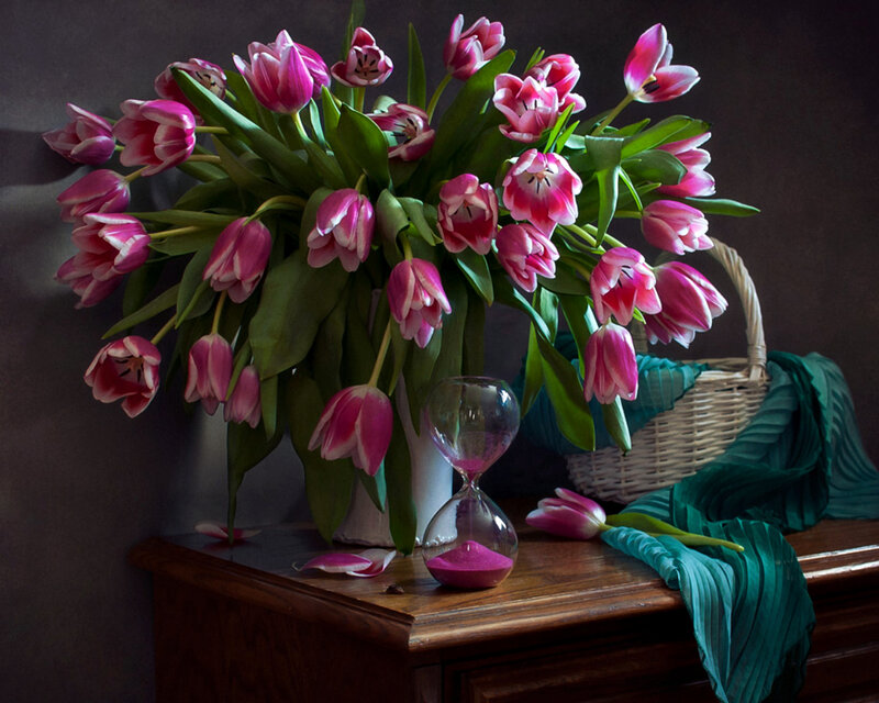 Pink Tulips in Vase — Dramatic, Photograph, Hourglass