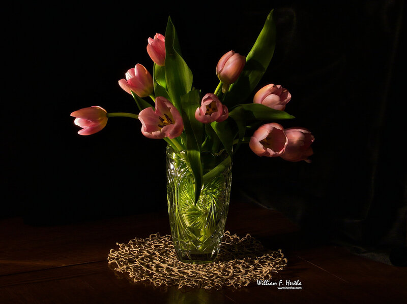 Pink Tulips in Vase — Dramatic, Photograph, Table