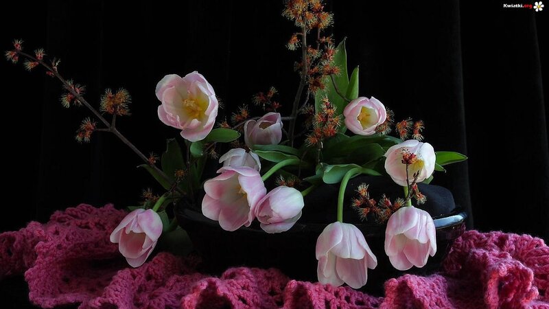 Pink Tulips in Vase — Dramatic, Spring
