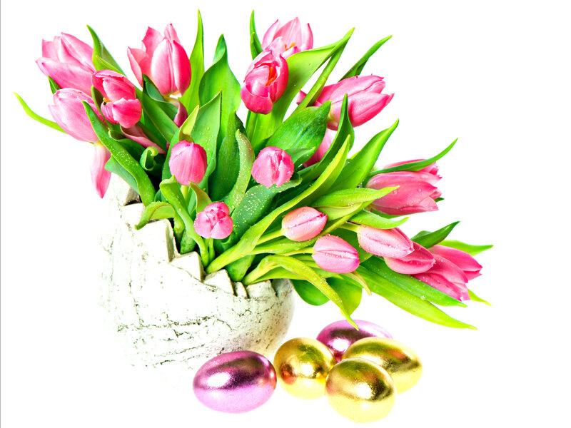 Pink Tulips in Vase — Festive