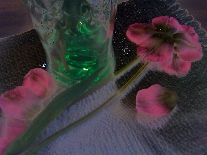 Pink Tulips in Vase — Green, Calm, Night
