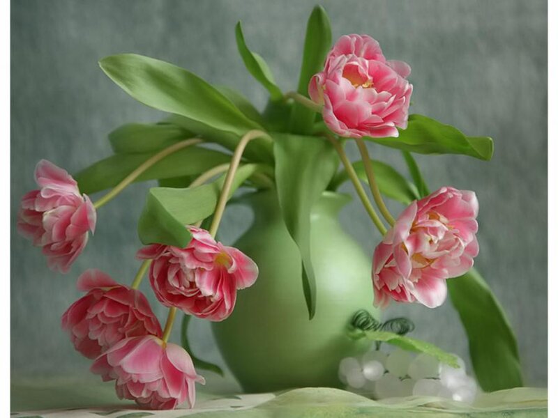 Pink Tulips in Vase — Green, Calm