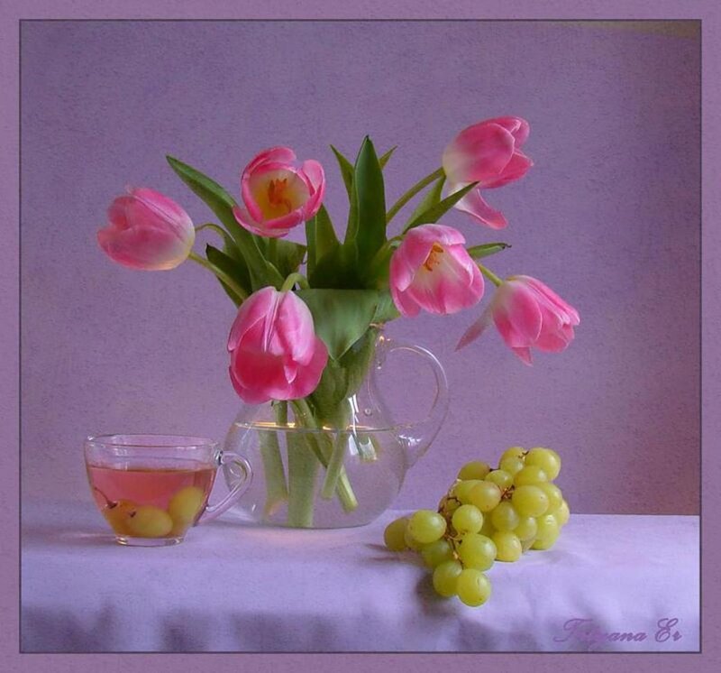 Pink Tulips in Vase — Purple, Serene, Photograph