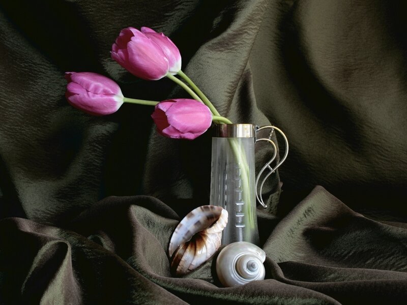 Pink Tulips in Vase — Purple