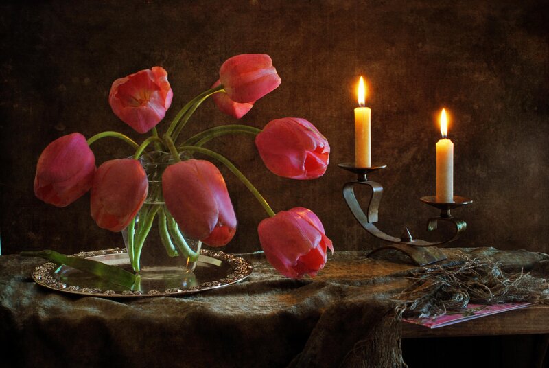 Pink Tulips in Vase — Red